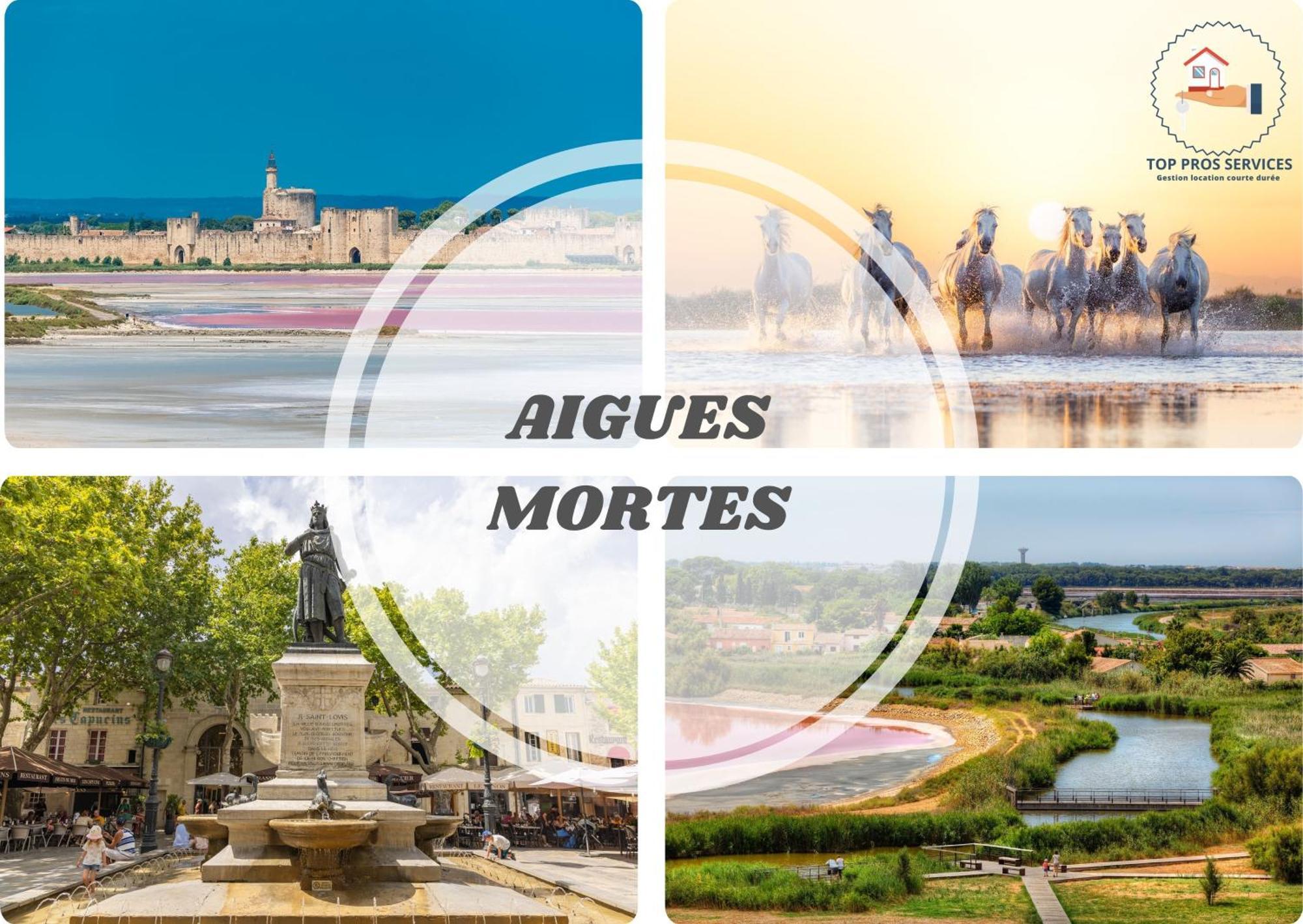 Les Marines Port 2 Min Plage Camargue- Top Pros Services Conciergerie La Grande Motte Mauguio Zewnętrze zdjęcie